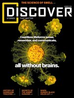 Discover